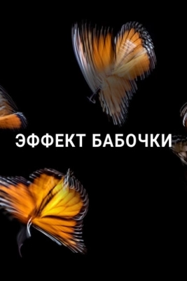 Эффект бабочки (2016)