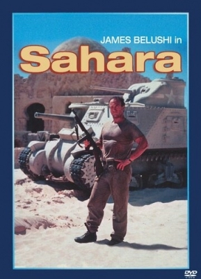 Сахара (1995)