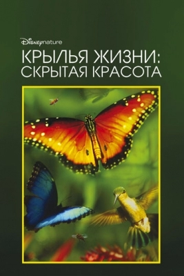 Крылья жизни: Скрытая красота (2011)