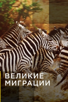 Великие миграции (2010)